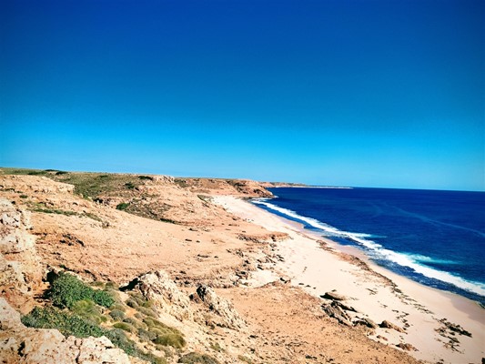 WAC Gallery - West Barrow Island