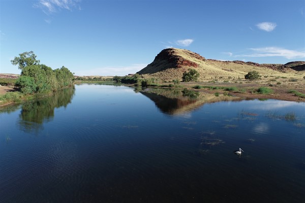 WAC Gallery - Fortescue Bridge