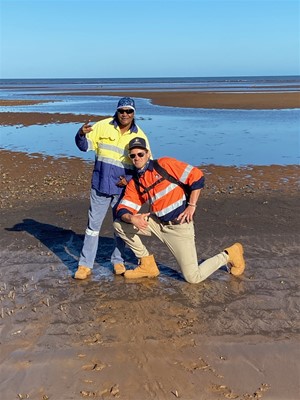 WAC Gallery - turtle survey